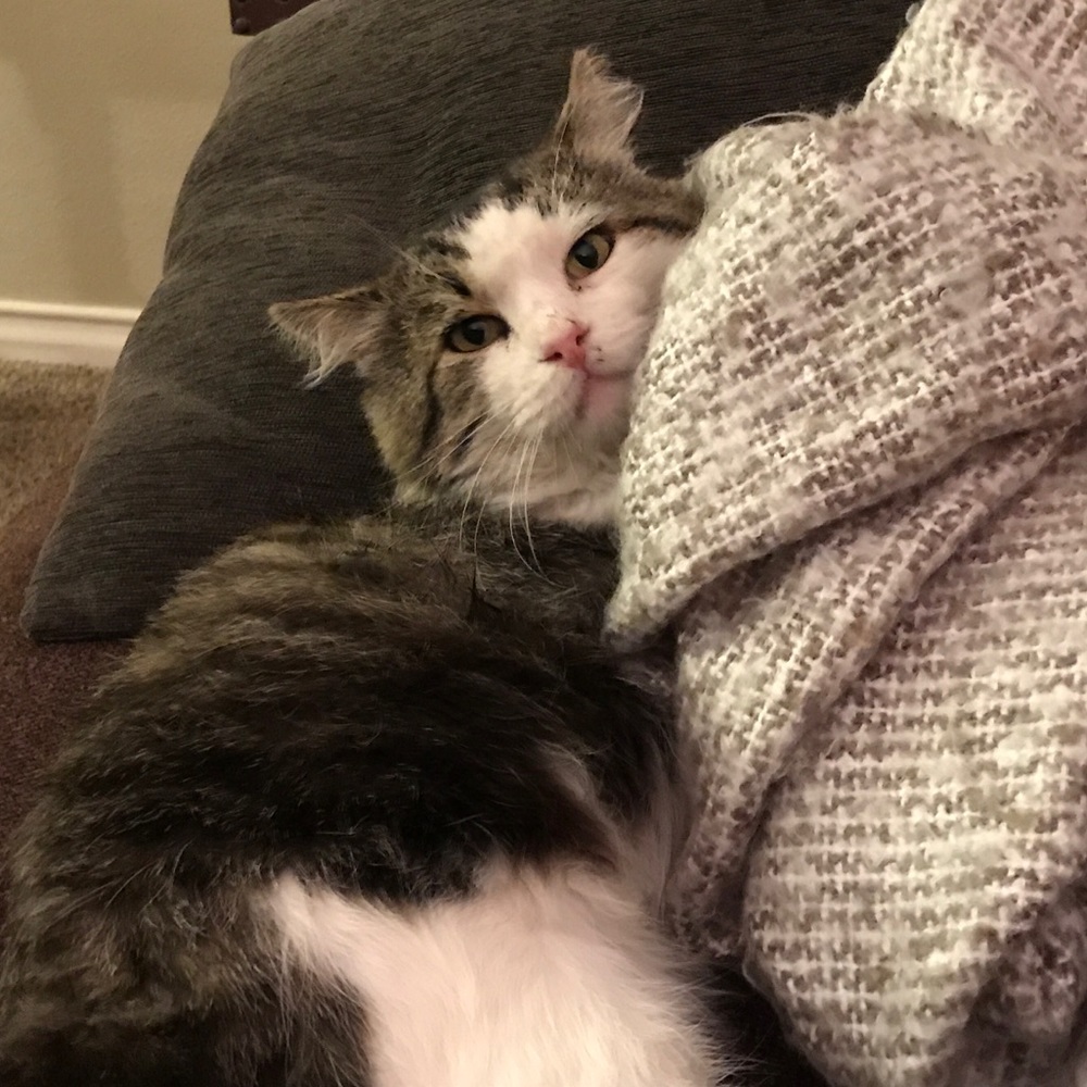 Meet your Posher, Jolie